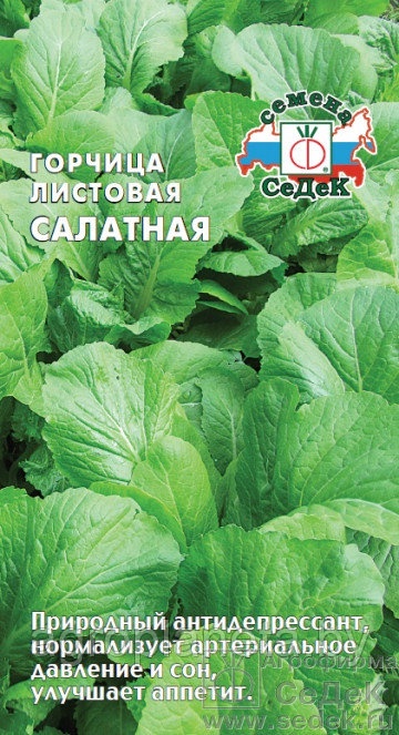 Горчица  листовая САЛАТНАЯ, 1 г