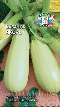 Кабачок ЯКОРЬ, 2г