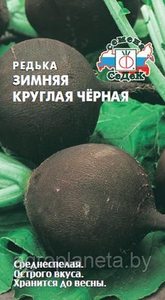 Редька ЗИМНЯЯ КРУГЛАЯ ЧЁРНАЯ, 1г